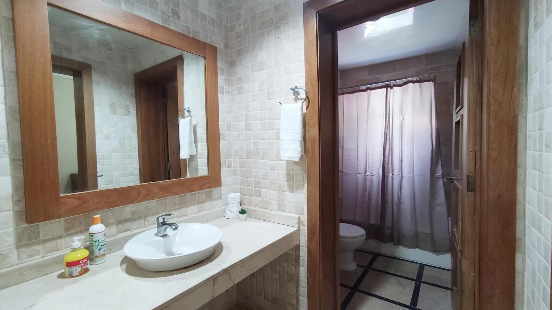 Apartment Beachfront Apartament - Private Beach Access Punta Cana Dominican Republic